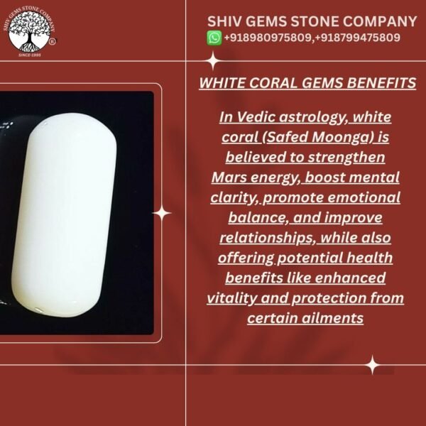 WHITE CORAL - Image 2