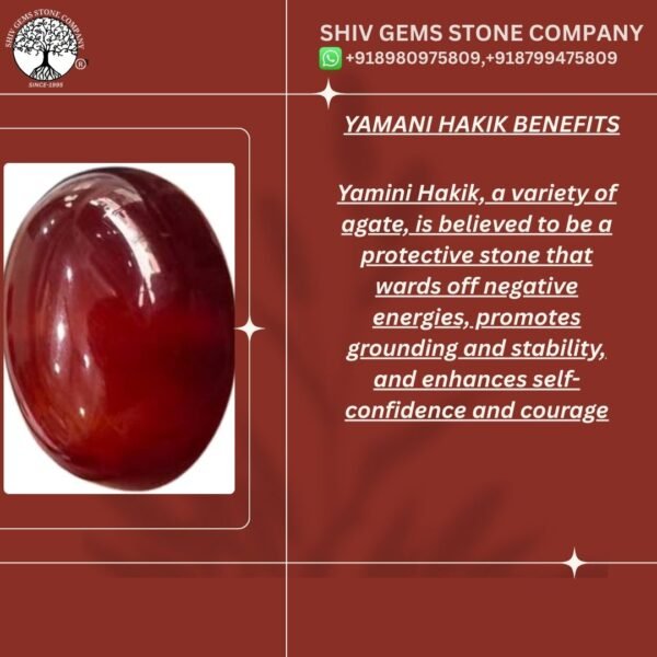 YAMNI HAKIK - Image 2