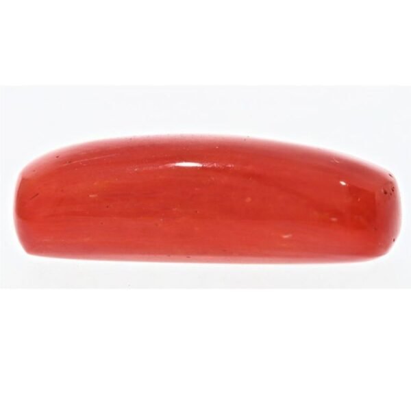 RED CORAL CAPUSULE