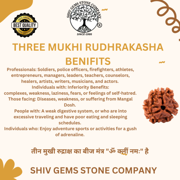 3 Mukhi Rudraksha