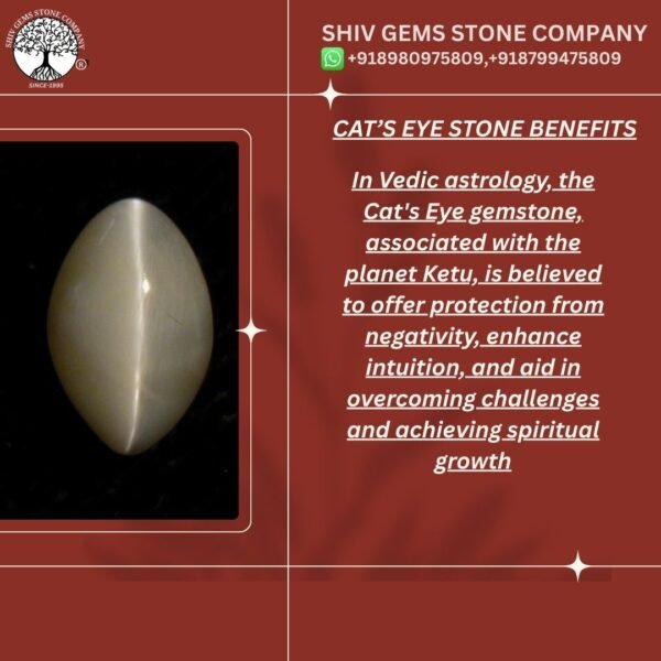 CATS EYE - Image 2
