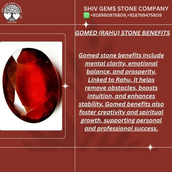 GOMED - Image 2