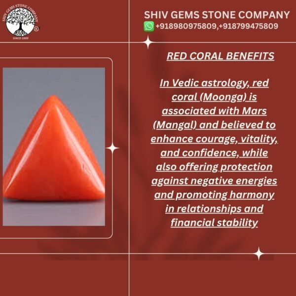 RED CORAL TRIANGLE - Image 2