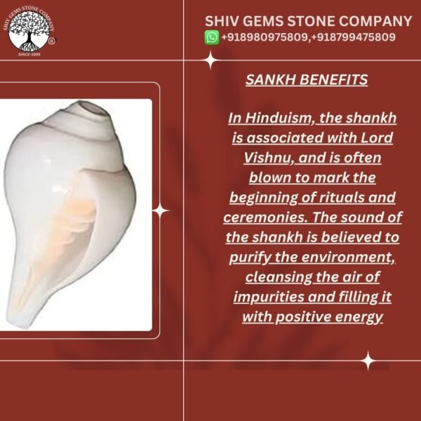 Shankh - Image 2