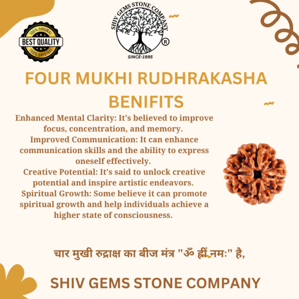 4 Mukhi Rudraksha