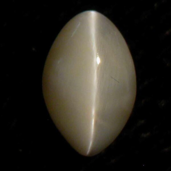 CATS EYE