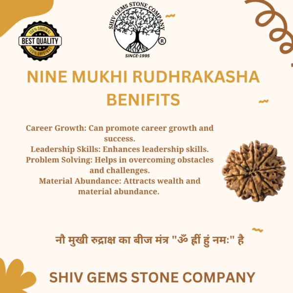 9 Mukhi Rudraksha