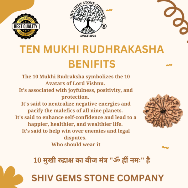 10 Mukhi Rudraksha